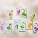 Innisfree Squeeze Energy Mask Special Set