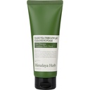 Bouquet Garni Nade Tea Tree Mildly Acidic Cleansing Foam