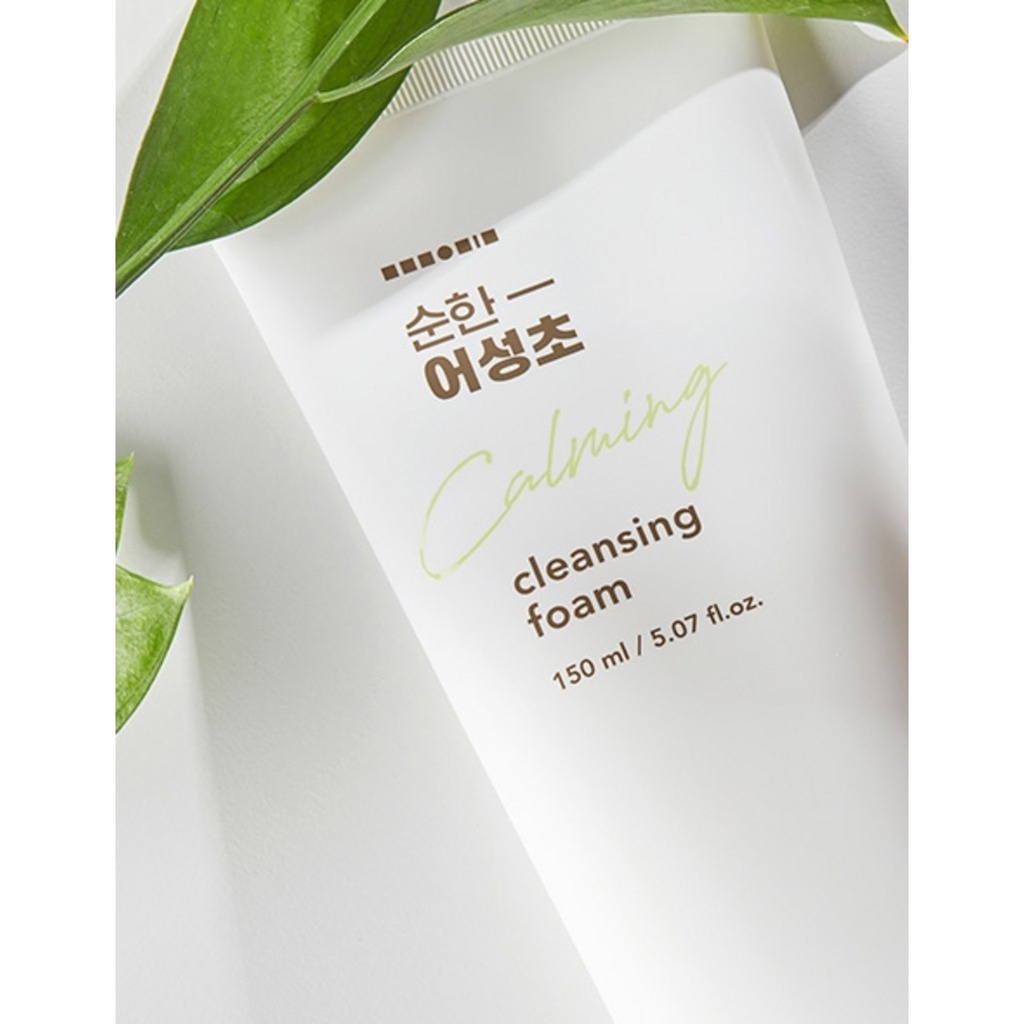 Hanskin Mild Eoseongcho Cleansing Foam GH990807