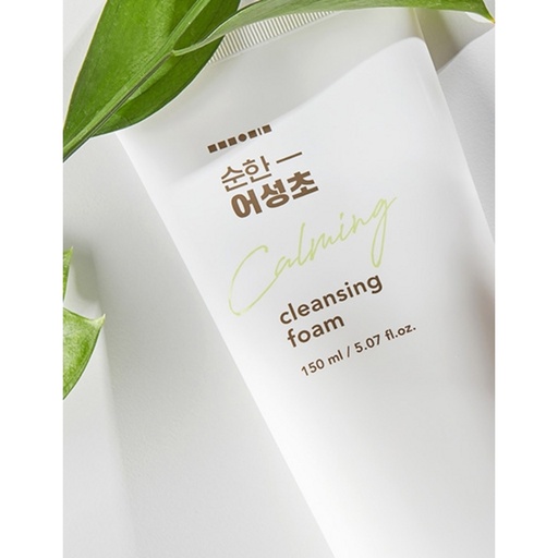 [SKU_2EIHVP2_3DTK5QZ] Hanskin Mild Eoseongcho Cleansing Foam GH990807