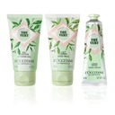 https://www.celmadekorea.com/wp-content/uploads/2023/06/SKU_2TSVW9Y_5H0OLBJ_10.jpg