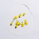https://www.celmadekorea.com/wp-content/uploads/product_image/SKU_37Q64SU_7VLPSQ2_11.jpg