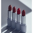Inga Powder Blur Lipstick 3.4g